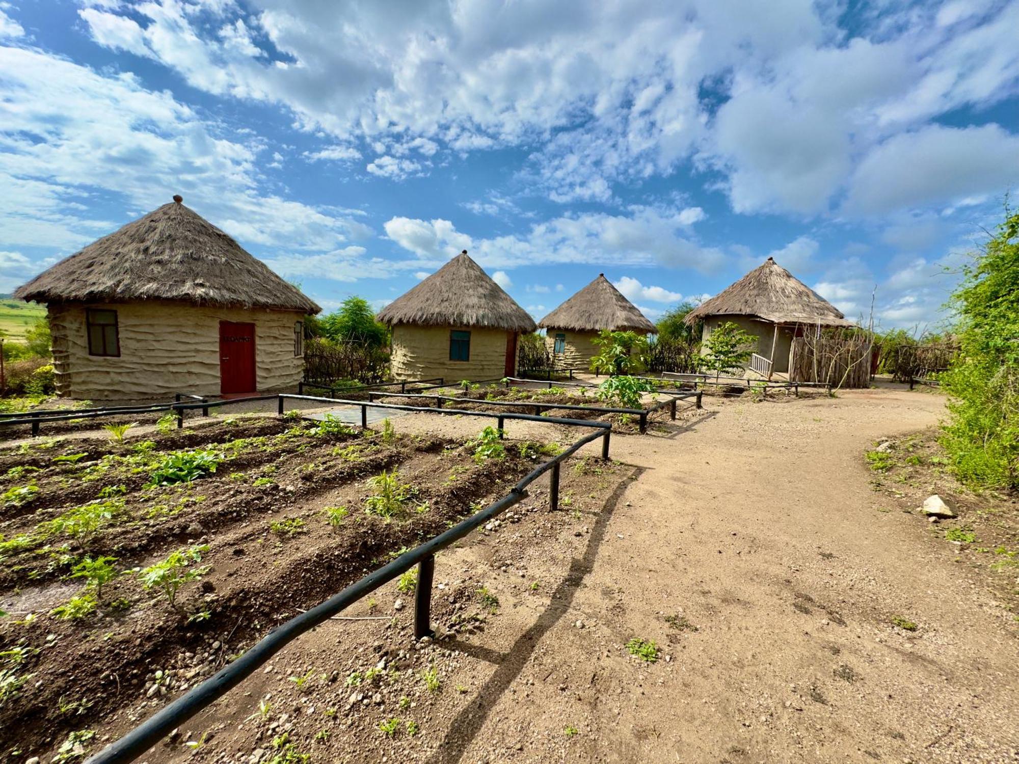 Maasai Eco Boma & Lodge - Experience Maasai Culture Makuyuni Екстериор снимка